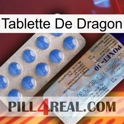Dragon Tablet 39